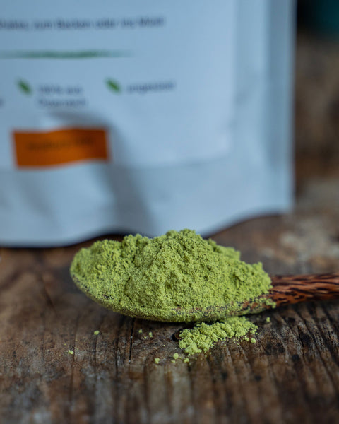 Bio Kürbiskern Protein vegan 65% Proteingehalt 350g